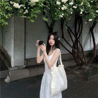 百日蔷薇